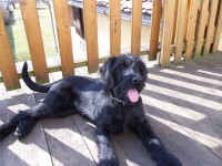 /album/nase-stenatka-vrh-a/sam-2881-jpg1/