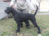 /album/nase-stenatka-vrh-a/sam-3622-jpg/